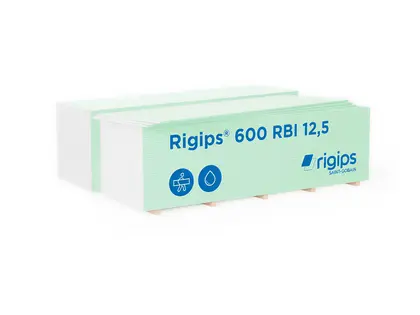 RBI 13