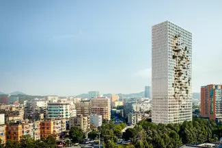 Downtown 5
